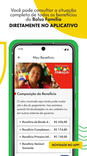 Скриншот 2 — Bolsa Família