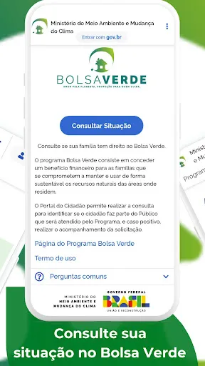 Скриншот 2 — Bolsa Verde