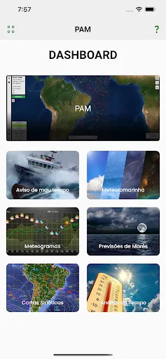Скриншот 4 — PAM