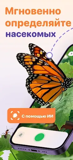 Скриншот 1 — Bug ID - Insect Identifier