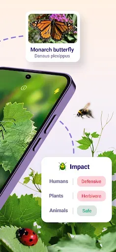 Скриншот 2 — Bug ID - Insect Identifier