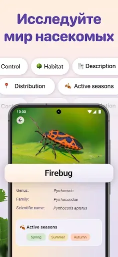 Скриншот 3 — Bug ID - Insect Identifier