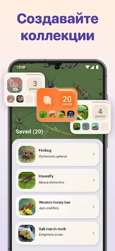 Скриншот 4 — Bug ID - Insect Identifier