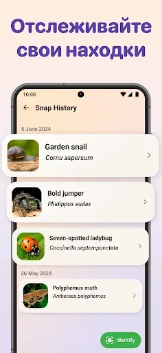 Скриншот 6 — Bug ID - Insect Identifier