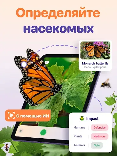 Скриншот 7 — Bug ID - Insect Identifier