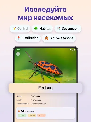 Скриншот 8 — Bug ID - Insect Identifier