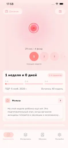 Скриншот 2 — Трекер беременности по неделям