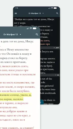 Скриншот 2 — Библия. Синодальный перевод