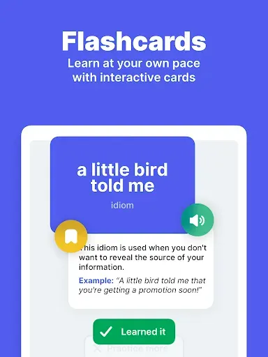 Скриншот 8 — English Idioms & Slangs