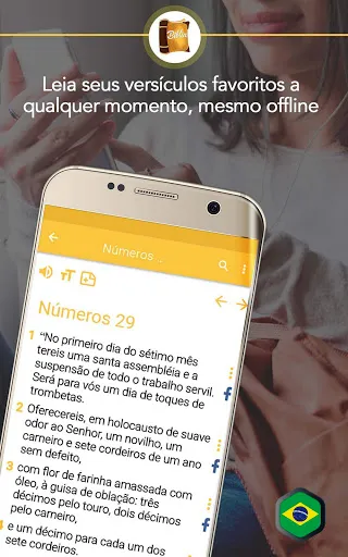 Скриншот 8 — Bíblia Católico orante