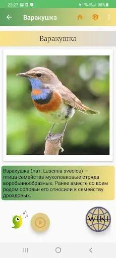 Скриншот 2 — Птицы России