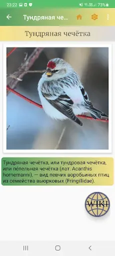 Скриншот 4 — Птицы России