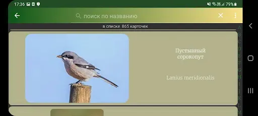 Скриншот 7 — Птицы России