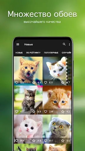 Скриншот 2 — Обои с кошками | Кошки PRO