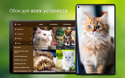 Скриншот 6 — Обои с кошками | Кошки PRO