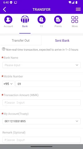 Скриншот 6 — Trusty Pay