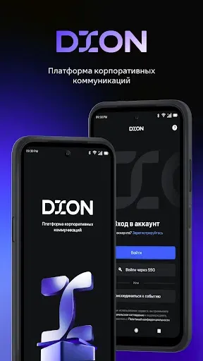 Скриншот 1 — DION
