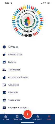 Скриншот 2 — SANEF