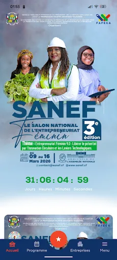 Скриншот 3 — SANEF