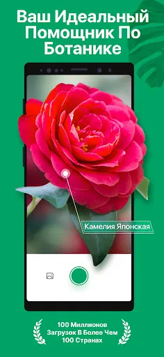 Скриншот 1 — PictureThis растения признать