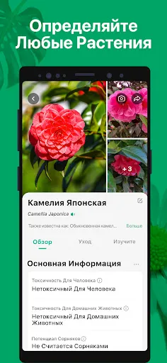 Скриншот 2 — PictureThis растения признать