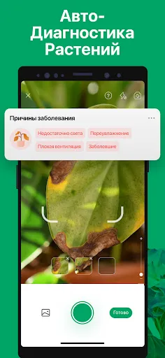 Скриншот 4 — PictureThis растения признать