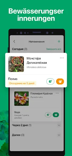 Скриншот 5 — PictureThis растения признать