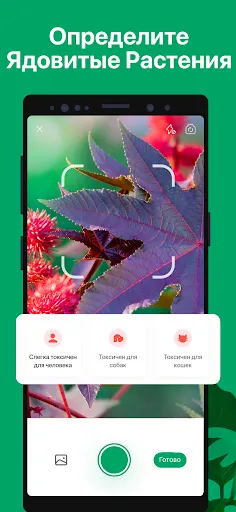 Скриншот 6 — PictureThis растения признать