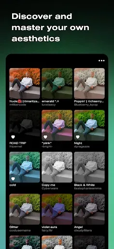 Скриншот 2 — Polarr 24FPS