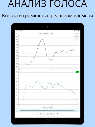Скриншот 4 — Анализатор голоса