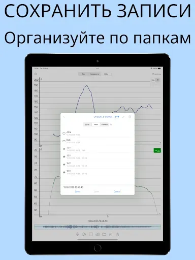 Скриншот 6 — Анализатор голоса