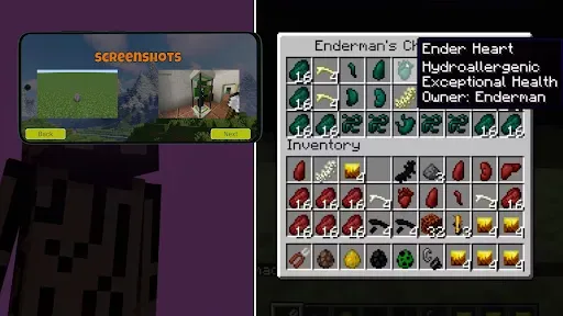 Скриншот 8 — Chest Cavity Mod for Minecraft