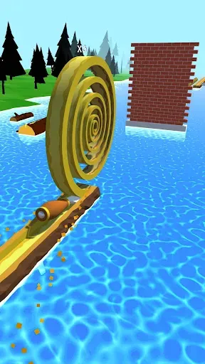 Скриншот 3 — Spiral Roll