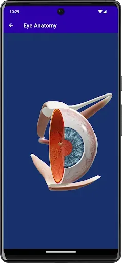 Скриншот 3 — Eye Handbook