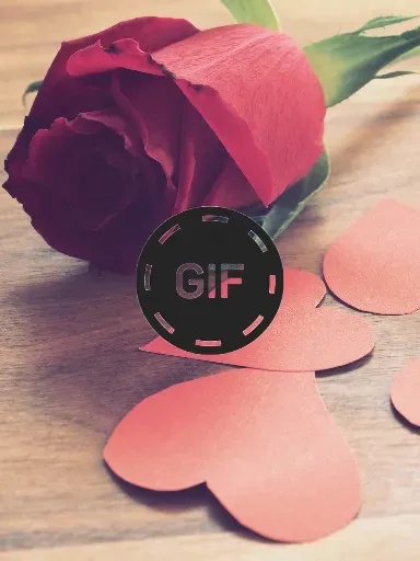 Скриншот 1 — Flowers And Roses Animated GIF