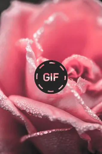Скриншот 2 — Flowers And Roses Animated GIF