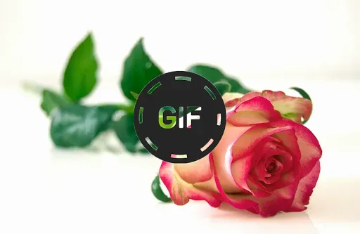 Скриншот 4 — Flowers And Roses Animated GIF