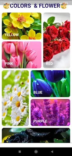 Скриншот 2 — Flower Wallpapers