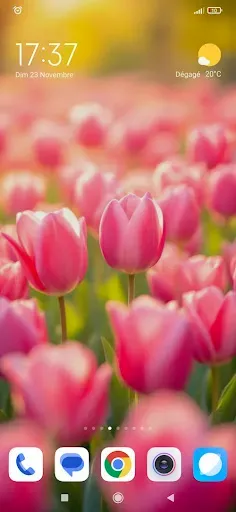 Скриншот 4 — Flower Wallpapers