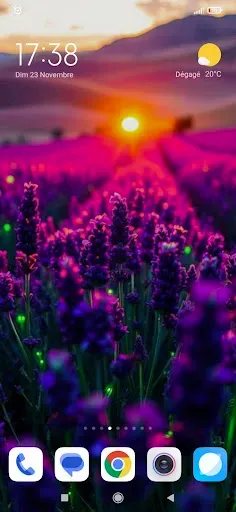 Скриншот 5 — Flower Wallpapers