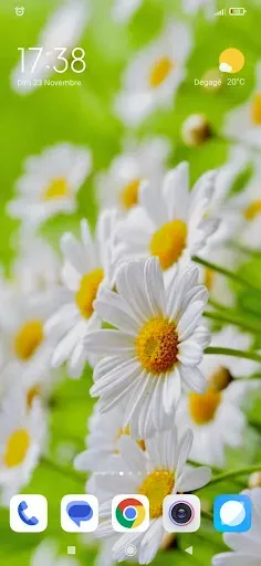 Скриншот 6 — Flower Wallpapers