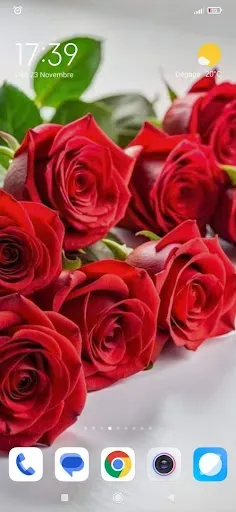Скриншот 7 — Flower Wallpapers