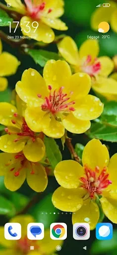 Скриншот 8 — Flower Wallpapers