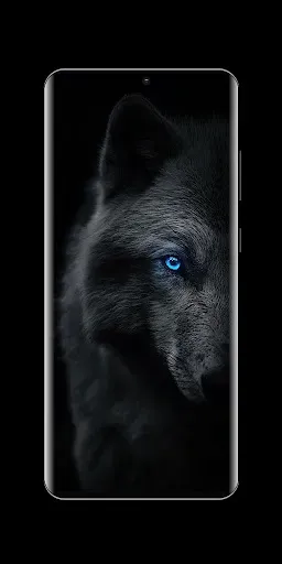 Скриншот 4 — Черные Живые Обои