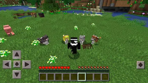Скриншот 7 — Мод на броню волка для MCPE