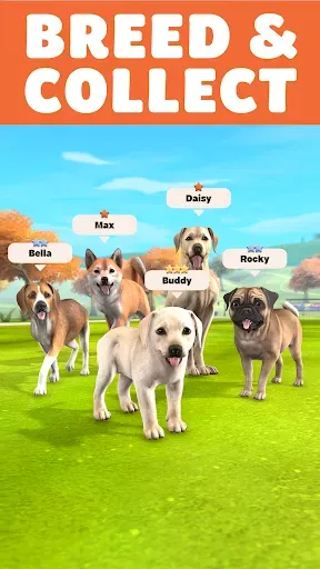 Скриншот 1 — Pocket Paws: My lovely dogs