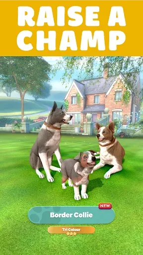 Скриншот 2 — Pocket Paws: My lovely dogs