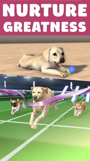 Скриншот 3 — Pocket Paws: My lovely dogs