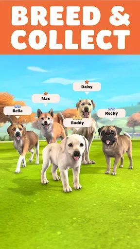Скриншот 8 — Pocket Paws: My lovely dogs