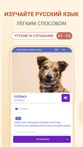 Скриншот 1 — Русский язык для начинающих